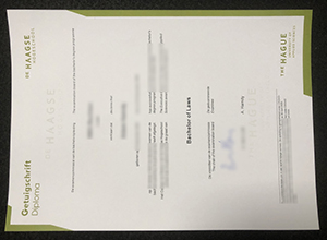 How to buy a Haagse Hogeschool Getuigschrift diploma in 5 days?