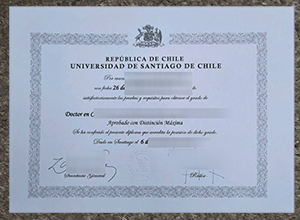 Universidad de Santiago de Chile diploma