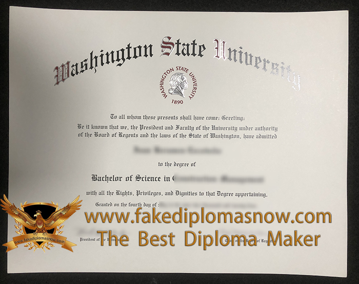 Washington State University BSc Degree Washington State University BSc Degree
