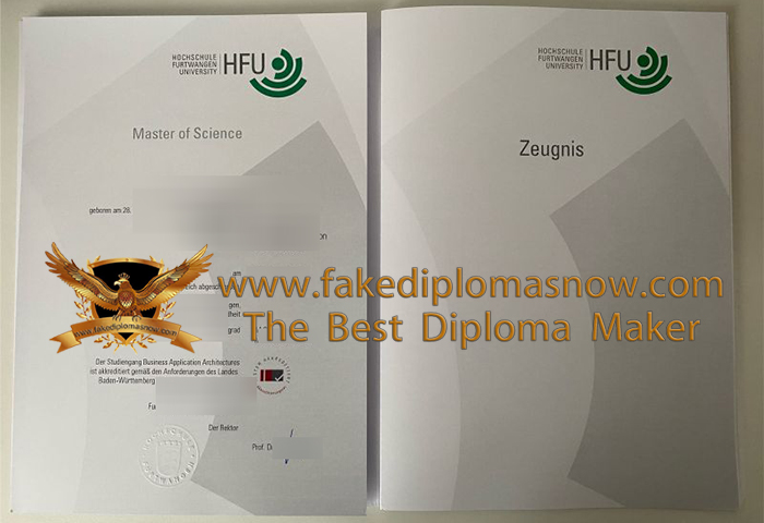 Furtwangen University (HFU) Urkunde and Zeugis
