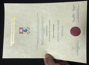 Institiúid Teicneolaíochta Phort Láirge degree, WIT diploma