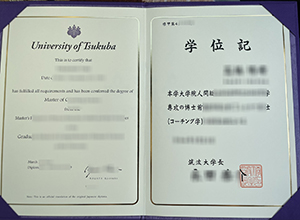 University of Tsukuba degree certificate