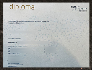 RSM diploma, Rotterdam School of Management diploma sample
