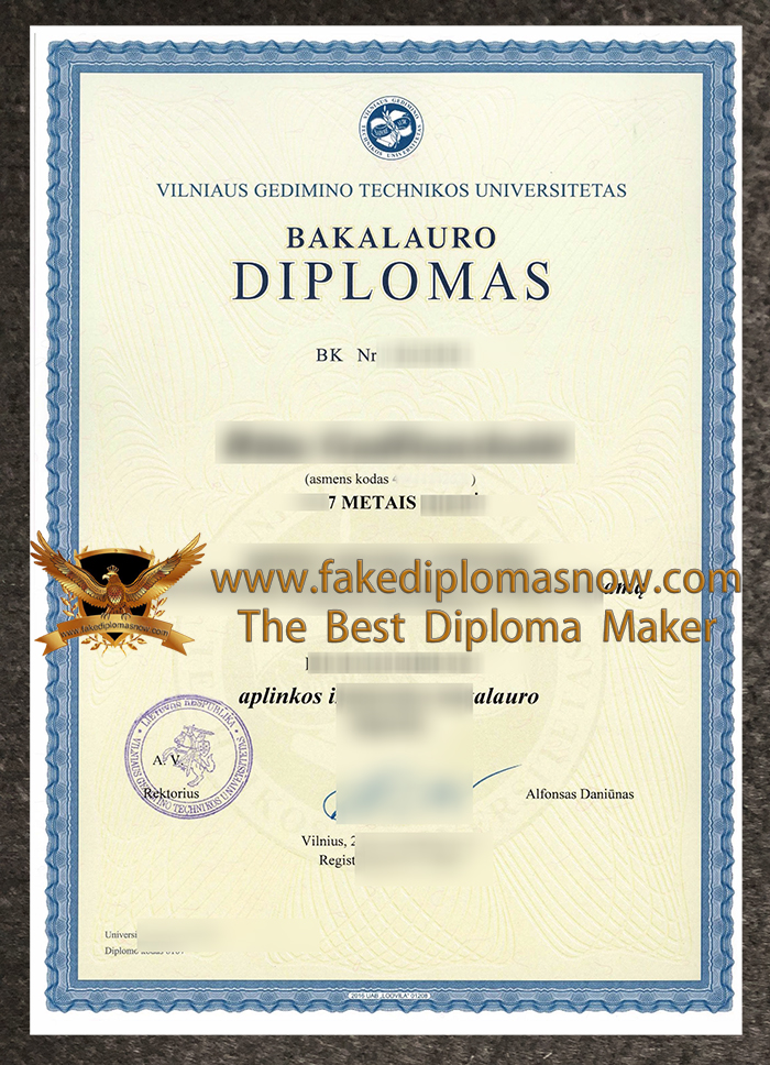 Vilniaus Gedimino technikos universitetas diploma
