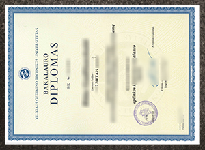 Vilniaus Gedimino technikos universitetas diploma sample