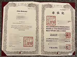 Chiba University degree certificate