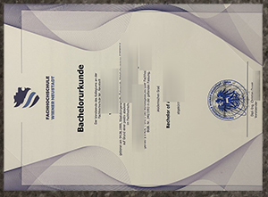 Fachhochschule Wiener Neustadt degree sample