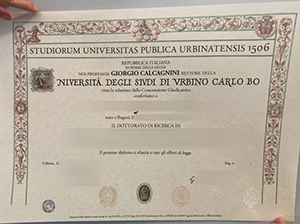Università degli Studi di Urbino Carlo Bo diploma sample