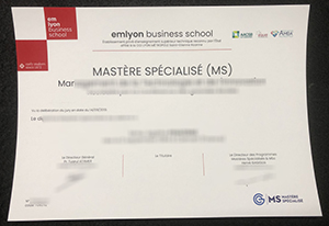 Can I buy an Em Lyon Business School degree online?