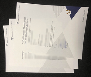 Hogeschool van Amsterdam Getuigschrift Propedeuse and Cijferlijst