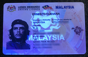 Order a Malaysia Driving license online, Buy a fake ID