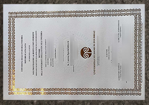 How much to buy a Università degli Studi dell’Insubria diploma?