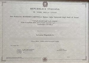 Università degli Studi di Sassari Laurea sample