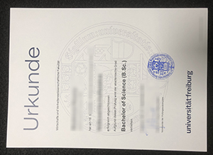 Universität Freiburg Urkunde sample