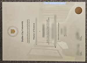 Dublin City University degree