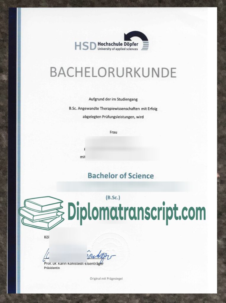 HSD Hochschule Döpfer urkunde