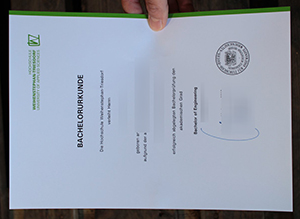 Hochschule Weihenstephan-Triesdorf Urkunde sample