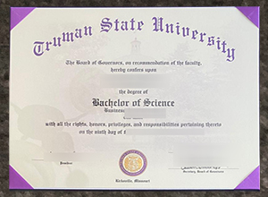 Why a Truman State University Degree Stands Out in the Midwest Job Market