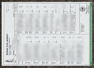 How to 100% copy Michigan State University transcript?