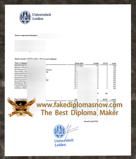 Leiden University transcript