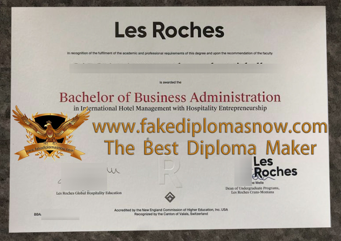 Les Roches degree