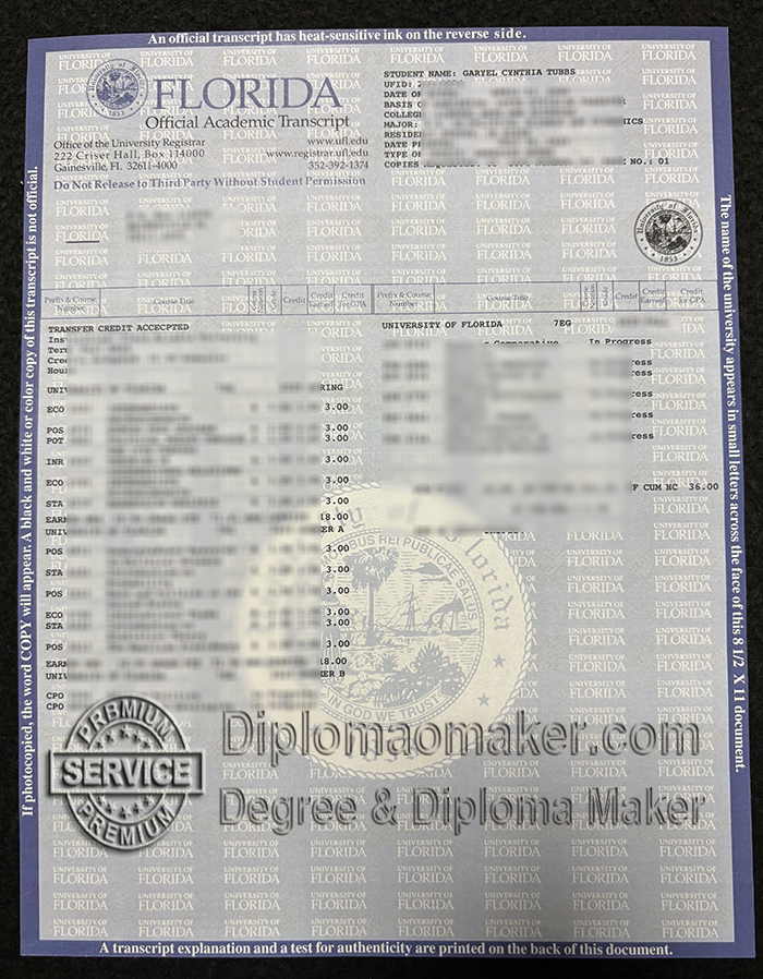 University of Florida transcript