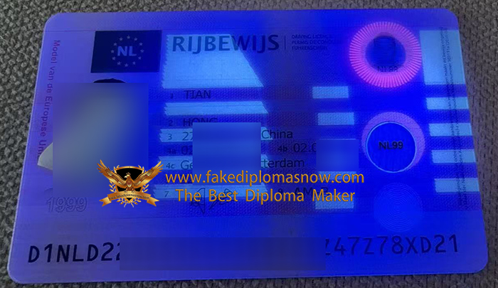NL RIJBEWIJS, Netherlands driving license
