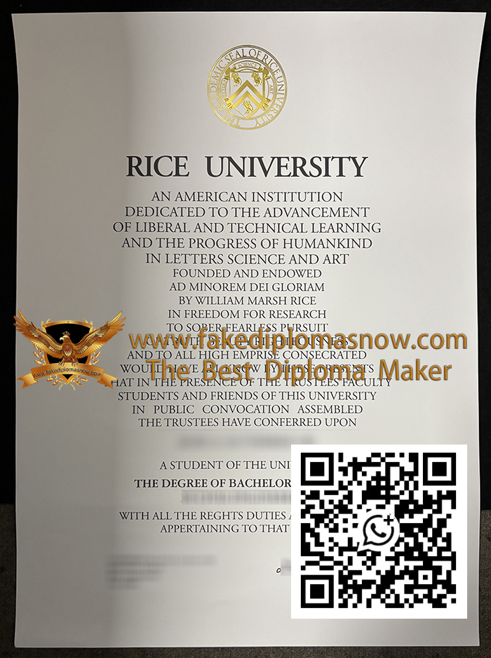 Rice University degree
