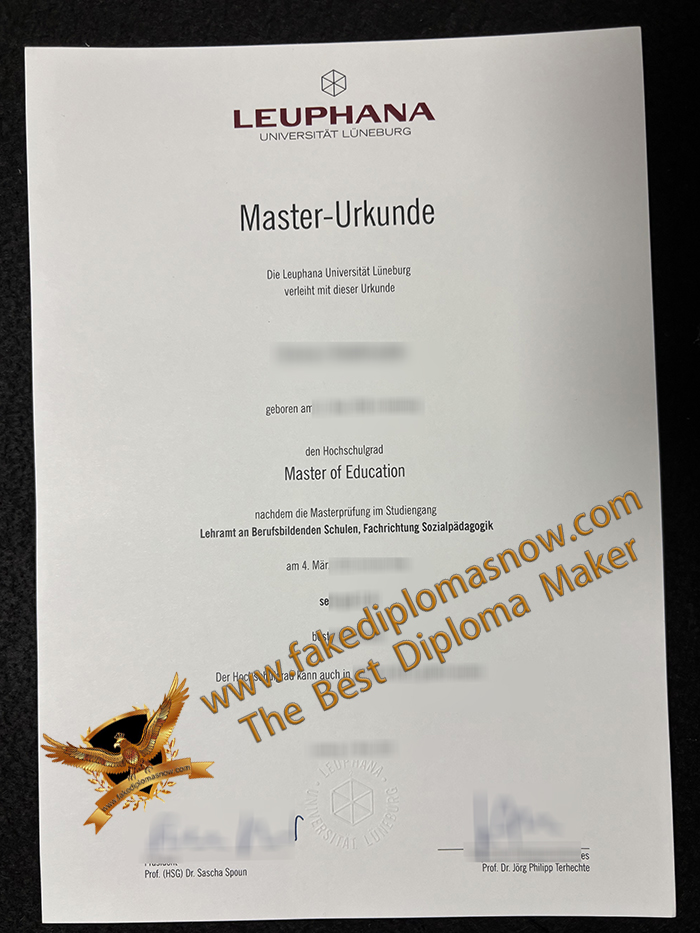 Leuphana Universität Lüneburg Urkunde