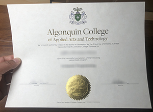Algonquin College diploma sample