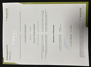 The truth to make a De Haagse Hogeschool BSc Getuigschrift