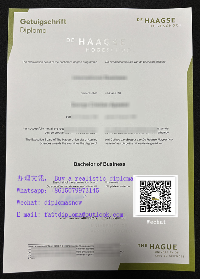 De Haagse Hogeschool BSc Getuigschrift De Haagse Hogeschool BSc Getuigschrift