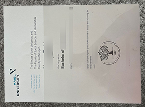 Is it easy to make an Ariel University degree?