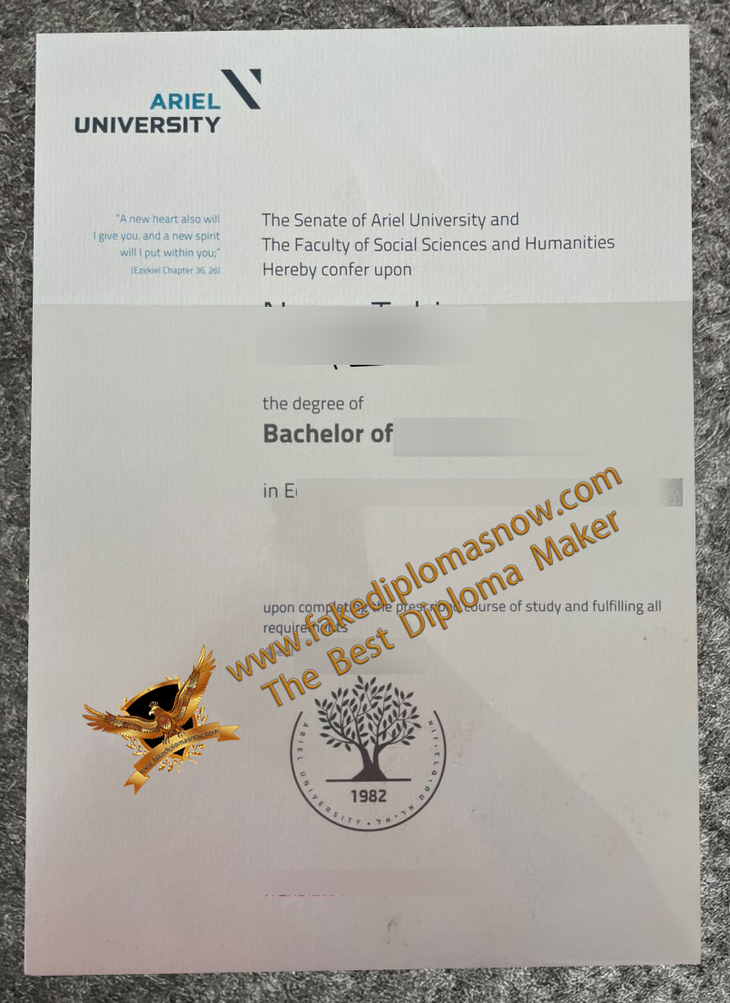 Ariel University degree