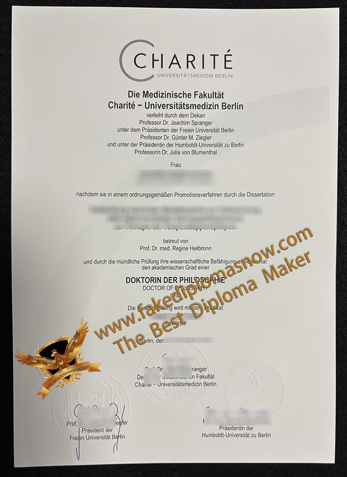 Charité – Berlin University Medicine doctor degree