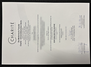 Charité – Berlin University Medicine doctor degree s