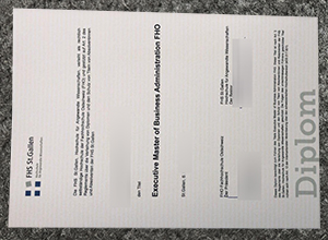 FHS St.Gallen diplom sample