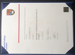 Imperial College London degree sample