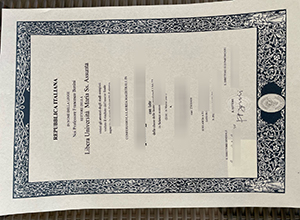 Libera Università Maria SS. Assunta Laurea sample