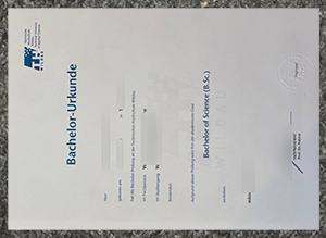 TH Wildau diploma, Technische Hochschule Wildau Urkunde sample