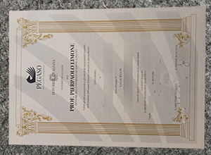 Università Telematica Pegaso Laurea sample