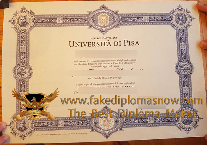 Università di Pisa degree, Università degli Studi di Pisa laurea