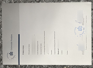 Universität Potsdam Urkunde sample