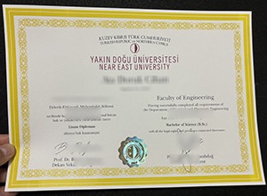 Easy fixes to get Yakın Doğu Üniversitesi BSc degree