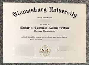 Bloomsbury Institute diploma sample