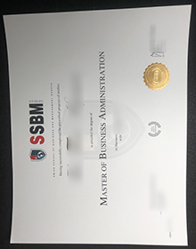 SSBM-Geneva-MBA-degree-sample
