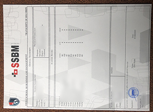 SSBM Geneva transcript sample