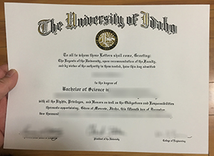 Simple Way To Get A University of Idaho diploma