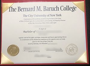 Bernard M. Baruch College diploma sample form Florida