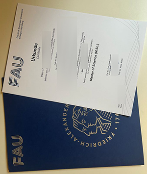 FAU Erlangen-Nürnberg Urkunde sample